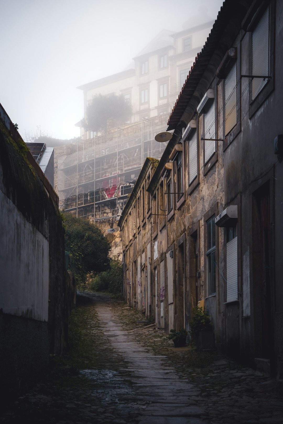 Dark mystery novel cover with a foggy alley